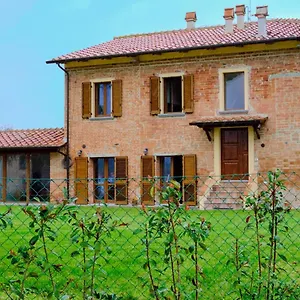 Chicco Di Grano , Foiano Della Chiana Italia